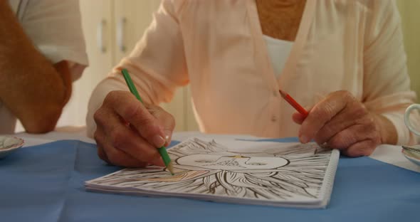 Senior woman drawing with color pencil alt