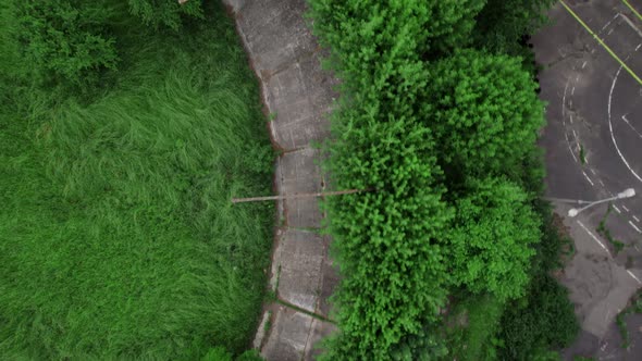 Drone Aerial Footage of the Abandoned Stadium in the Trees and Greens