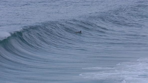 Surfer Trying to Catch Waves