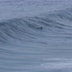 Surfer Trying to Catch Waves - VideoHive Item for Sale