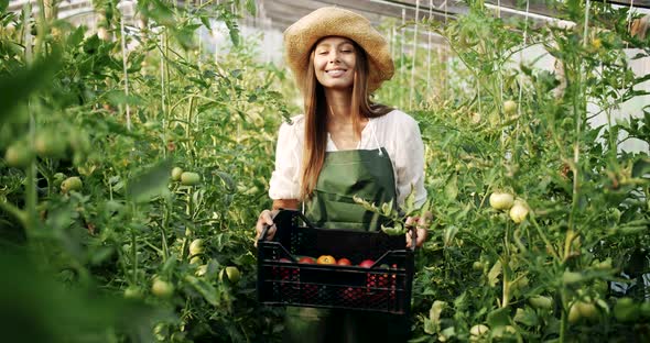 Smiling Woman Holding Box with Tomatoes