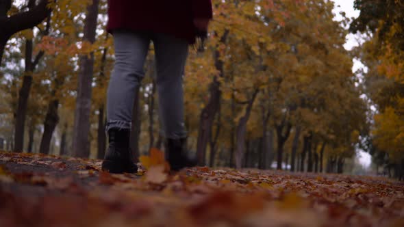 Woman Goes Into the Distance Walking in Autumn Park Yellow Fall Trees