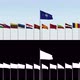 the Flags of the Member Countries of the Nato Alliance Against the Sky - VideoHive Item for Sale