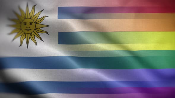 LGBT Uruguay Flag Loop Background 4K