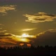 Sunset Sun Over the Forest. - VideoHive Item for Sale