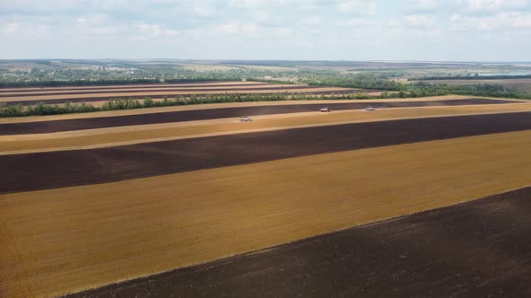 Cleaning a Flax Field From a Bird'seye View