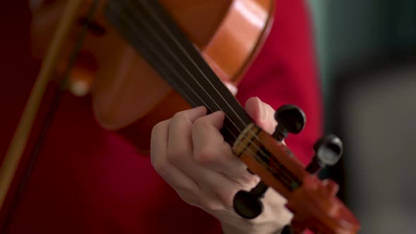 Woman Playing the Violin