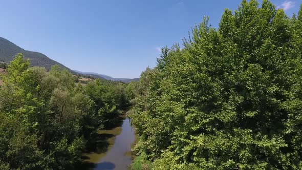A river surrounded by trees alt
