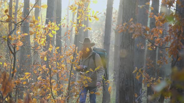 Tourist Travels in the Forest alt