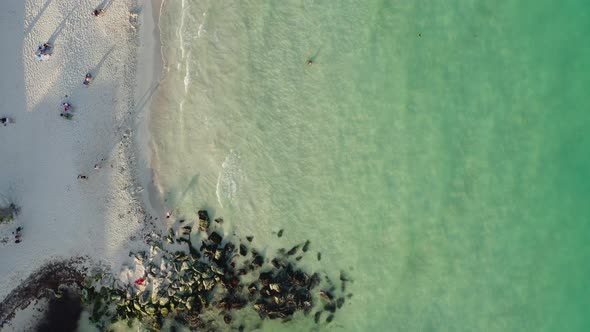 Drone Video of a Sandy Beach By the Sea alt