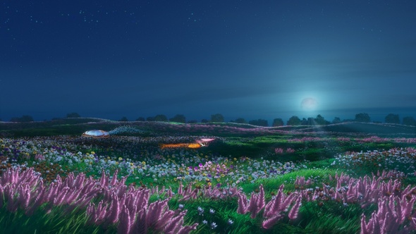 Flowering Night Meadow with Butterflies alt