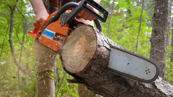 Cutting Through Wood with Chainsaw in Slow Motion