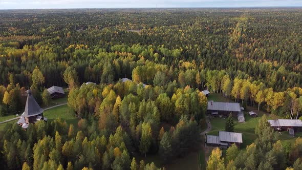 Summer Early Autumn in Forest Aerial Top View