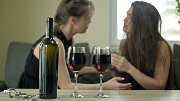 Two Girlfriends are Drinking Wine alt