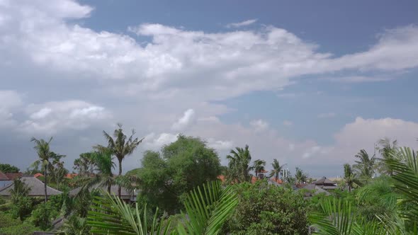 Clouds over Roofs and Tropical Trees