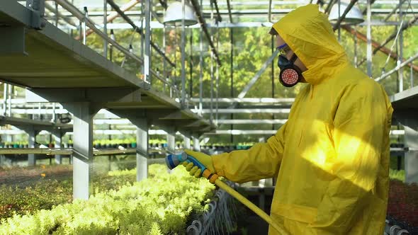 Man in Uniform Pouring Pesticides on Plants in Hothouse, Hazardous Liquid