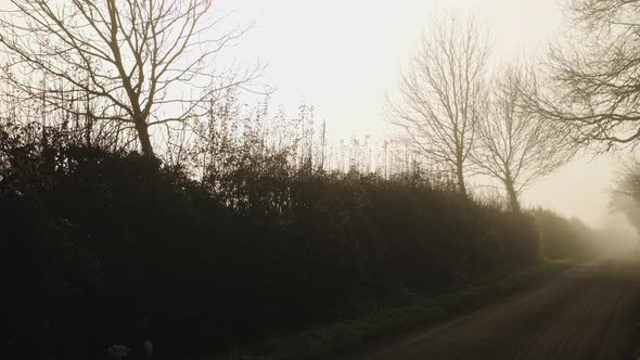 Rural narrow countryside road in thick fog and mist, dangerous bad driving conditions in foggy misty alt