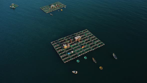 Aquaculture, Fish Breeding Cage With Boats In The Ocean. - aerial alt