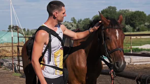 Man Strokes the Muzzle of a Brown Horse on a Farm alt