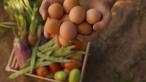 Male Hands Holding Fresh Eggs Close Up alt