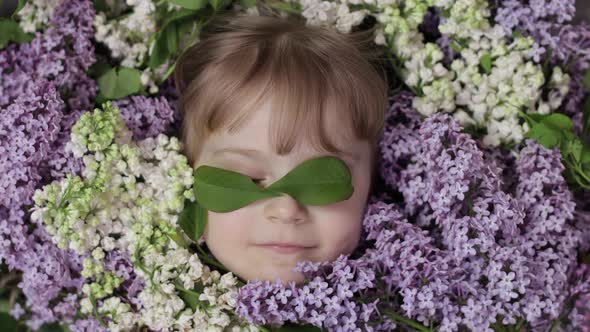 Cute Girl Child Looking From Bunch Bouquet of Lilac Flowers Around Her Face alt