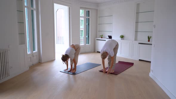 Serene couple doing yoga together in room alt