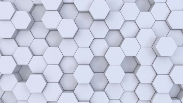 Abstract Modern White Hexagon Geometric Background