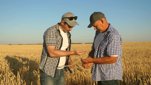 Businessman and Farmer with Tablet Working As a Team in Field. Agronomist and Farmer Are Holding alt