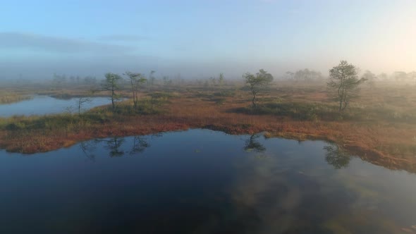 Aerial View of Lakes in Bog at Sunrise