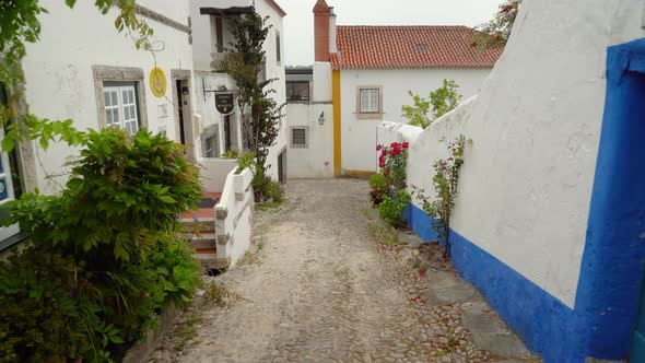 Flowers and Greenery Grows in Old Ancient Street in Castle of Óbidos