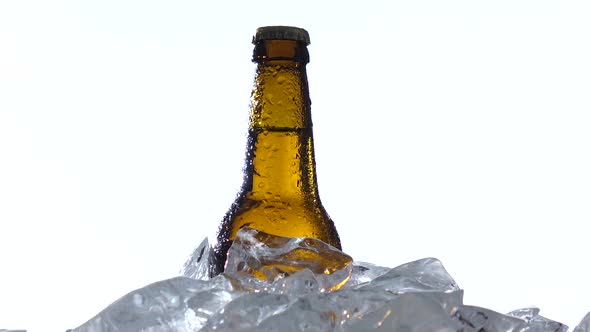 Dark Bottle of Beer Are in a Container with Ice Pieces. White Background. Close Up alt