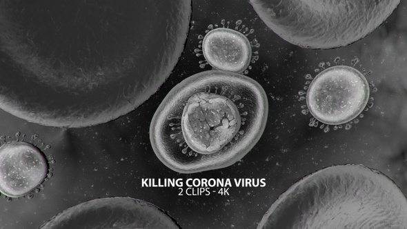 Killing Corona Virus