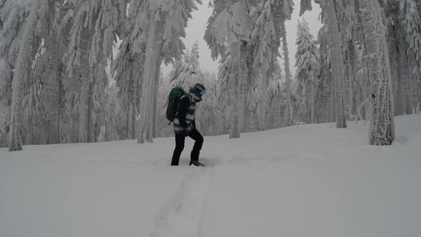 Climbing In A Spectacular Snowy Mountain Forest alt