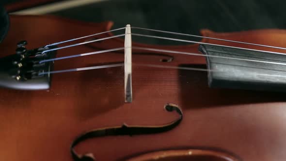 Part of aged violin on black background