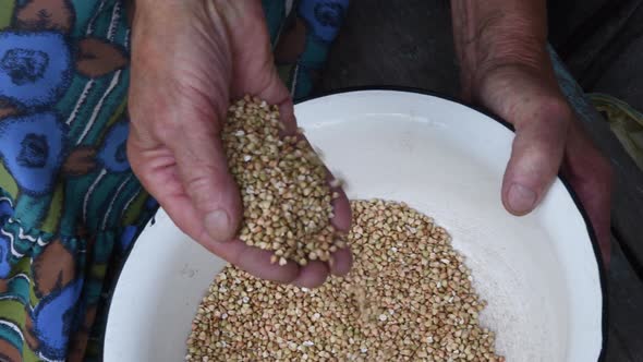 Handful of Old Woman Pouring Raw Buckwheat Grains Into Rustic White Bowl