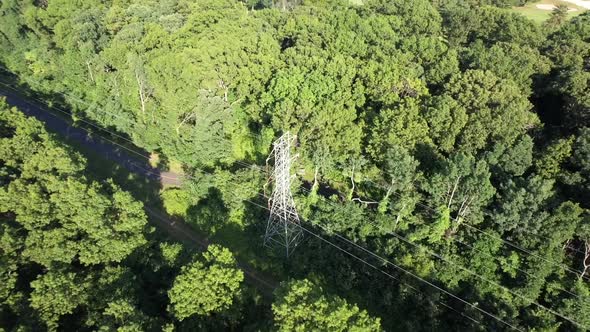 An aerial view over electrical towers and power lines in the midst of tall green trees on a sunny da alt