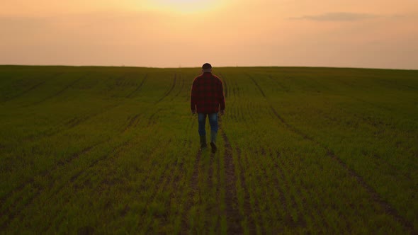 A Man Farmer Goes on a Rural Road Along a Green Wheat Field at Sunset alt