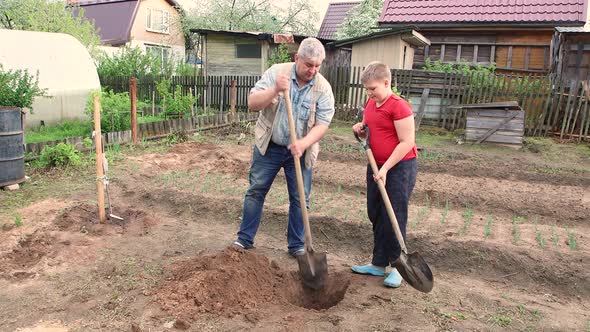 Friendly Father and Son Deftly Dig a Hole for Planting a Tree alt