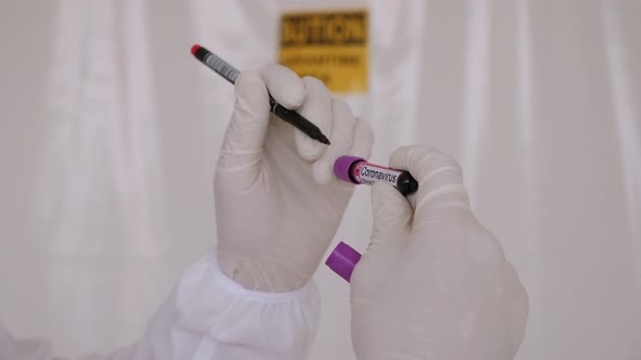 Closeup of Doctors in Protective Suits Examining Blood Tests for Coronavirus alt
