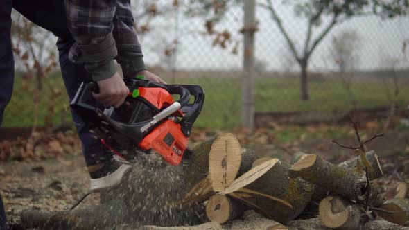 Sawing Walnut Tree Log By Chainsaw Wooden Shavings Flying Around in Slow Motion