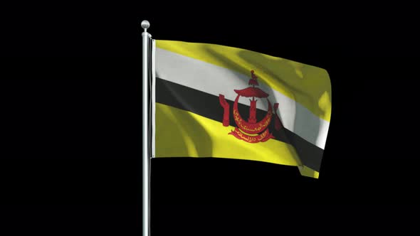 Brunei Flag Big