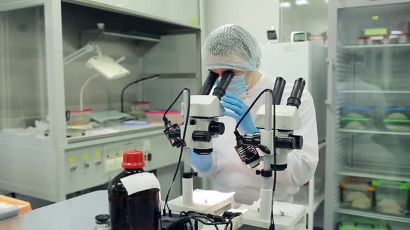 A Scientist Works with a Microscope in the Laboratory alt