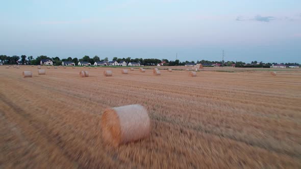 Low flight over the field and hay towards the village.