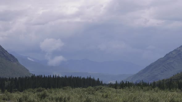 Mountain Stream In Denali National Park Alaska