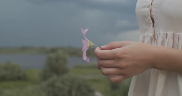 Close Up Side View of Female Hands Holding Wild Flower Trembling on Wind on Defocused Background