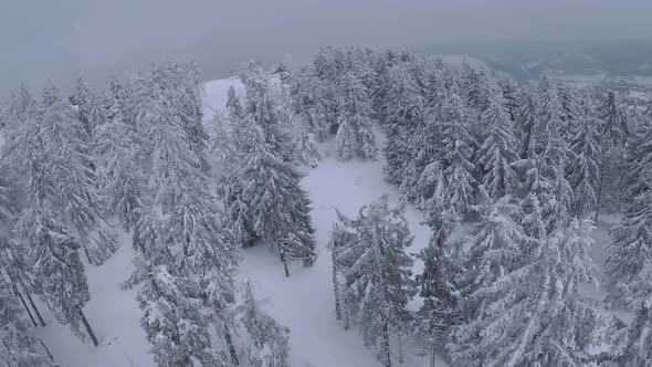 Aerial View of a Fabulous Winter Mountain Landscape Closeup alt