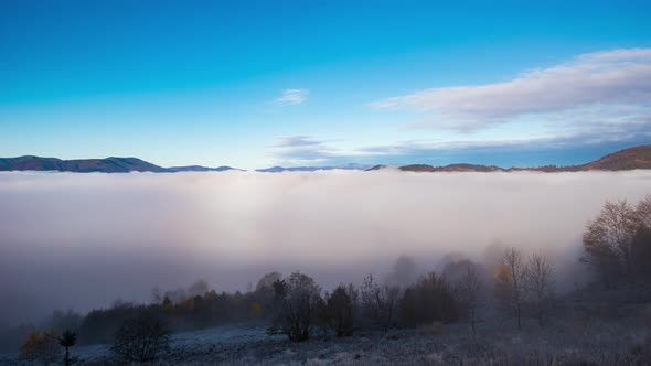 Grey Mist Covered the Pine Forest alt