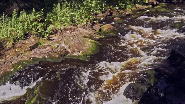 rapid small mountain river with waterfall in forest alt