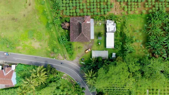 Top view house amid lush green plantation, exotic landscape of Java, Indonesia alt