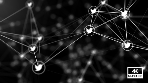 Data Networks Twitter Plexus Background Looped V3 alt
